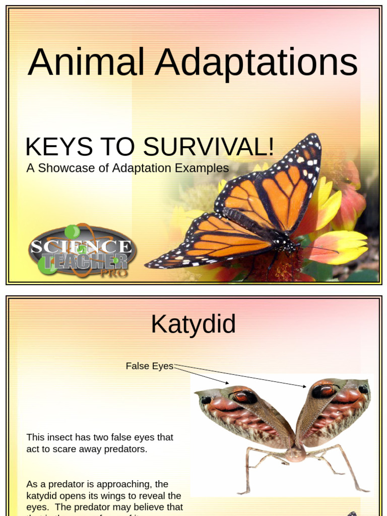 Adaptations for Science Teachers | PDF | Predation | Mimicry