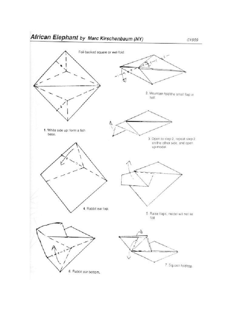 Elefa 1 | PDF