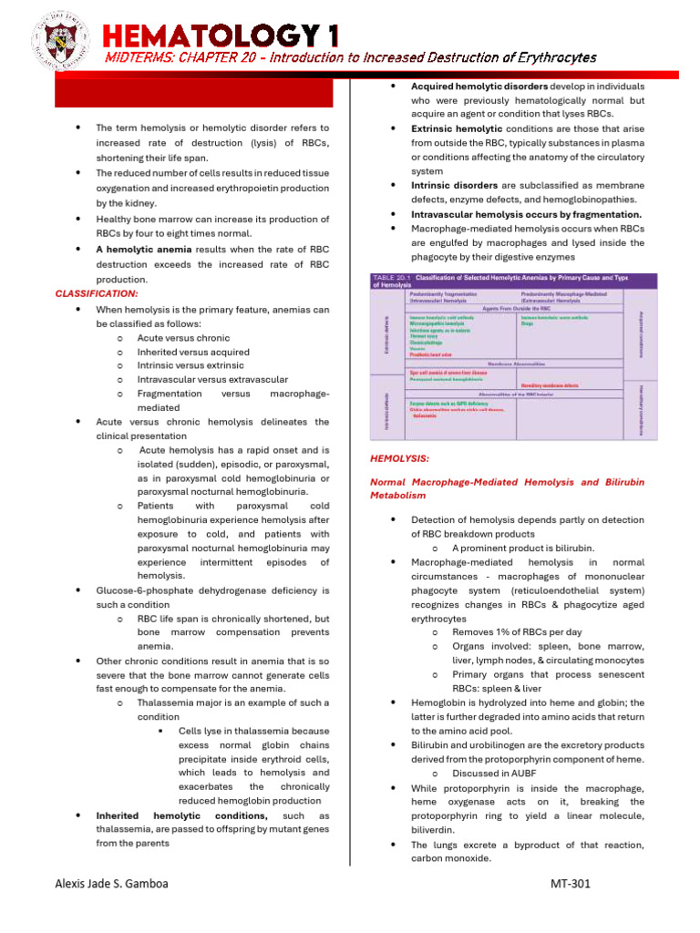 Increased Erythrocyte Destruction Overview | PDF | Anemia | Red Blood Cell