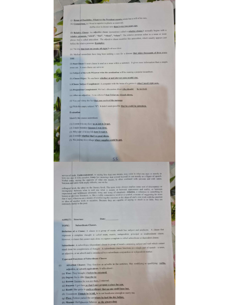 School | PDF