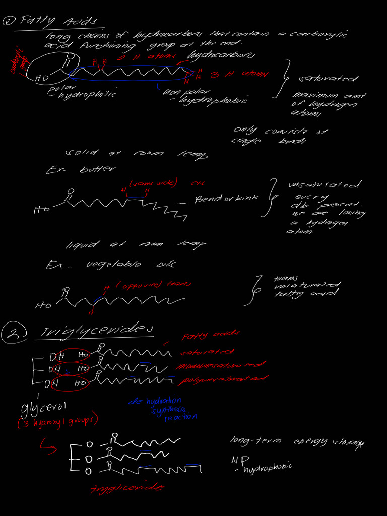 Gench 3 M | PDF