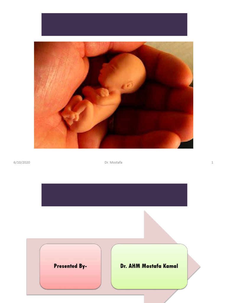 3 To 8 Weeks of Dev Class 1 | PDF | Reproduction | Developmental Biology