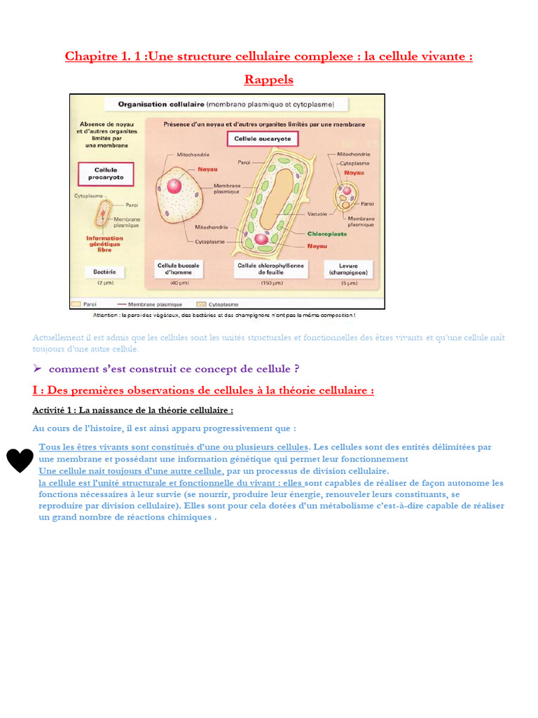Exploration de la cellule vivante et microscopie | PDF | Membrane ...