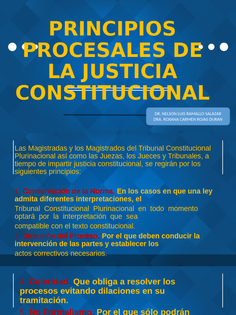 Principios Procesales de La Justicia Constitucional | PDF | Demanda