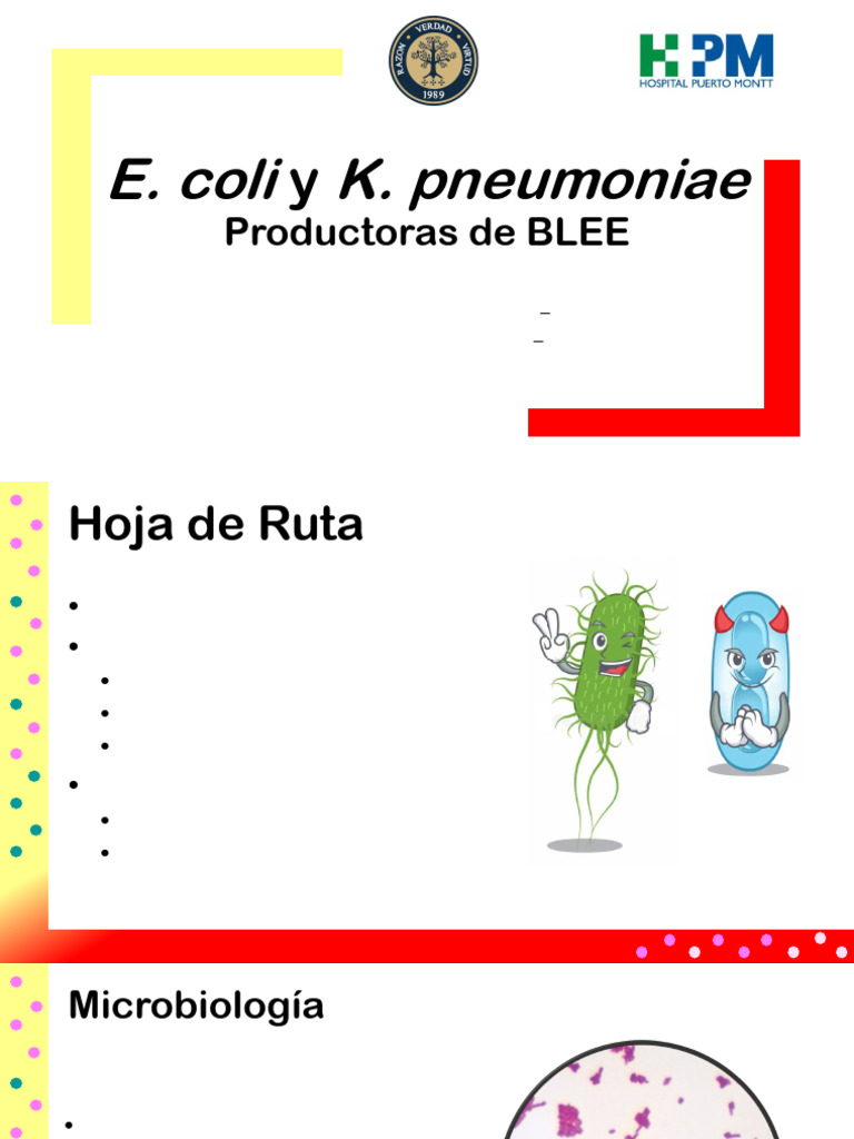 Epidemiología de BLEE en E. coli y K. pneumoniae | PDF | Beta lactamasa ...