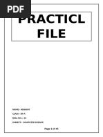 PDF Document