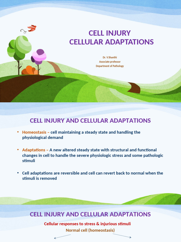 Cell Injury and Adaptations I | PDF | Anatomy | Cell Biology