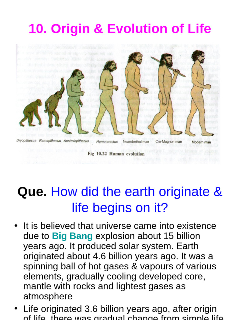 Evolution of Life: Theories Explored | PDF | Homo | Natural Selection