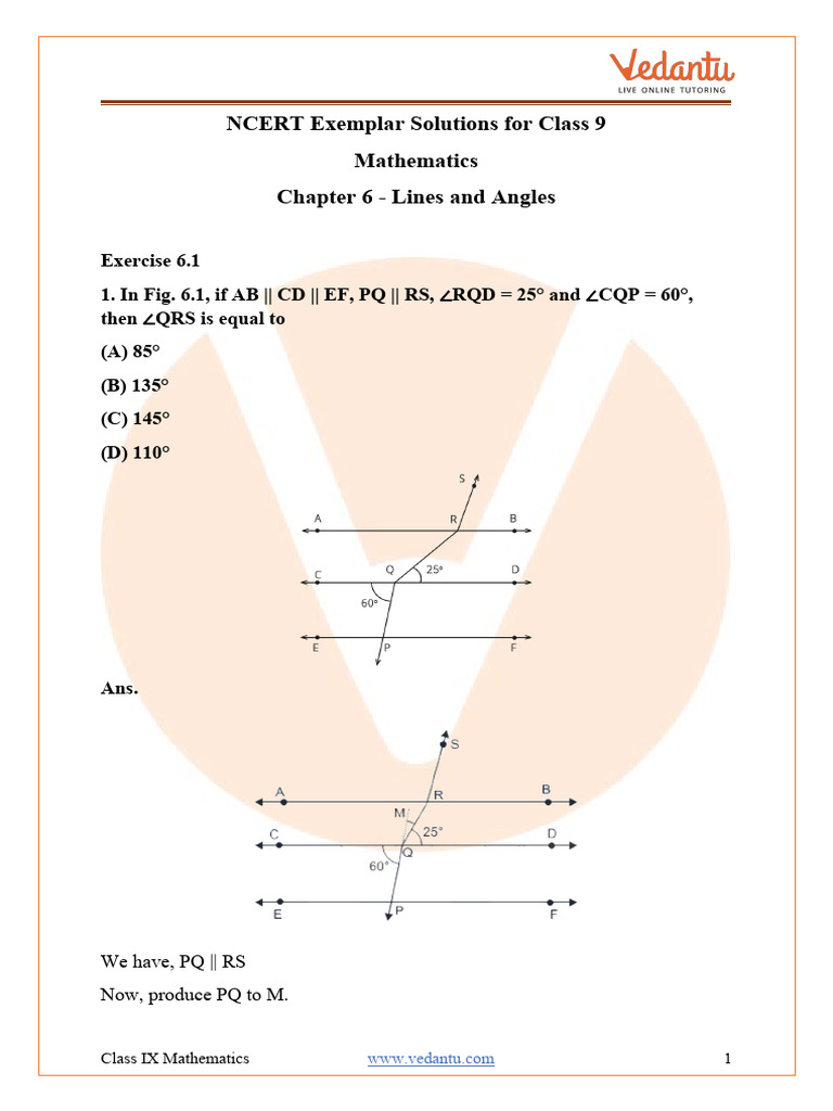 Class 9 Lines and Angles Solutions | PDF | Triangle | Line (Geometry)