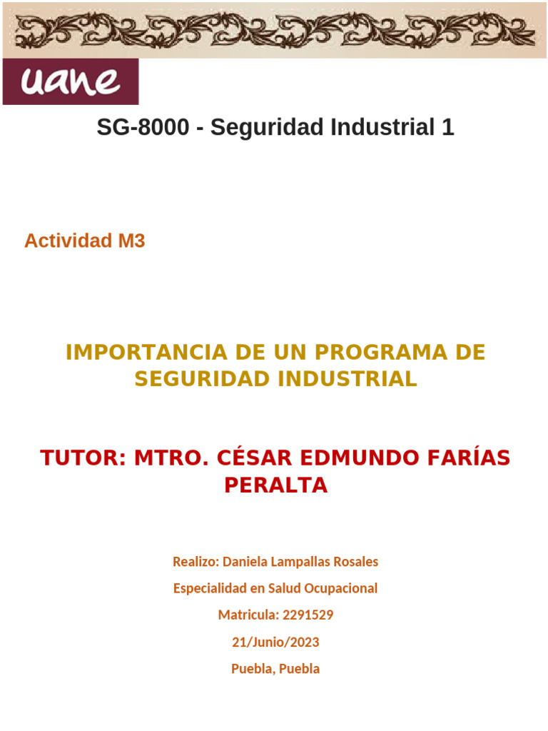 Actividad M3 Programa de Salud y Seguridad 210623 | PDF | Valores ...