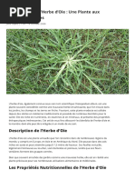 Graines De Griffes De Lion (Martynia Annua) - Lot De 15, Pour Protection Spirituelle, Fabriqué En Inde | Neuf Avec Emballage, Expiration 2028