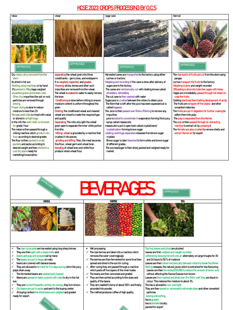 Crop Processing Techniques Overview | PDF | Sugarcane | Flour