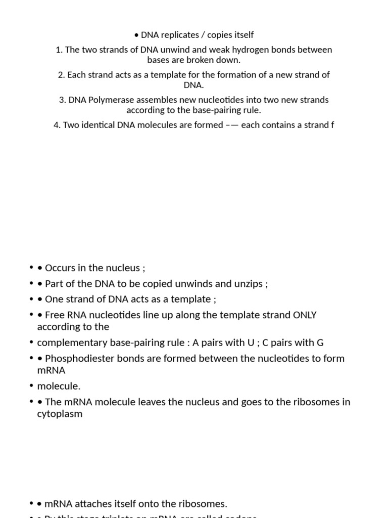 DNA Replication and Transcription Process | PDF