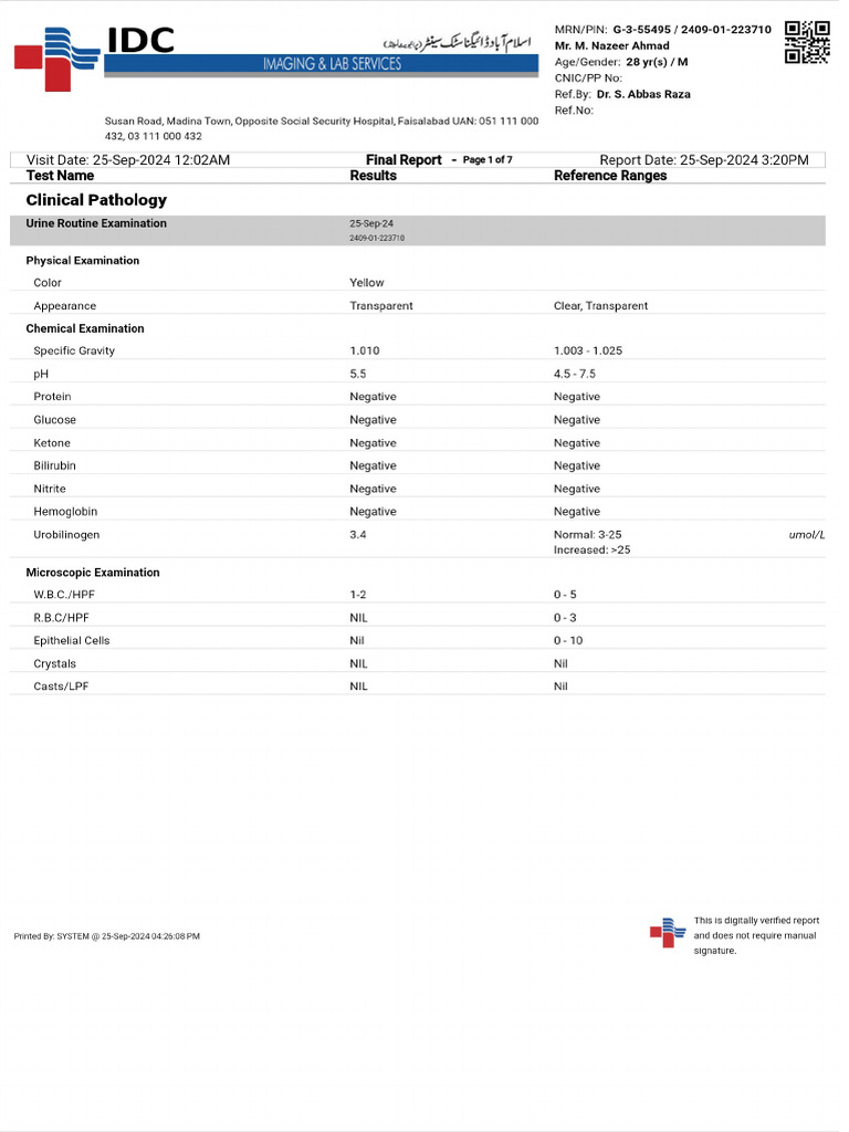 Patient Report PDF | PDF