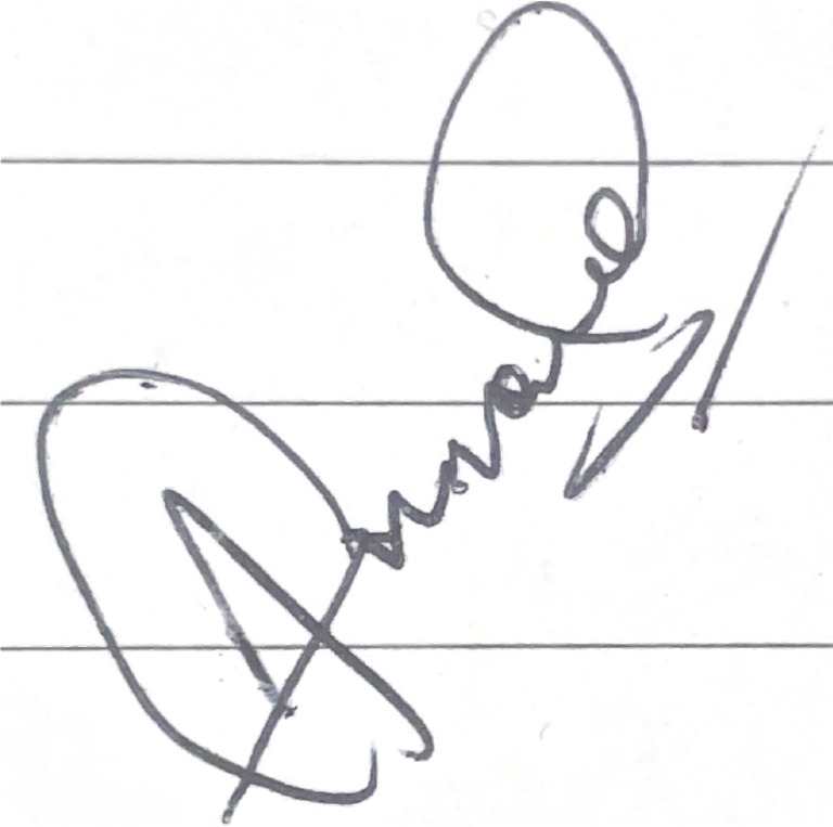 Scanned Sign | PDF