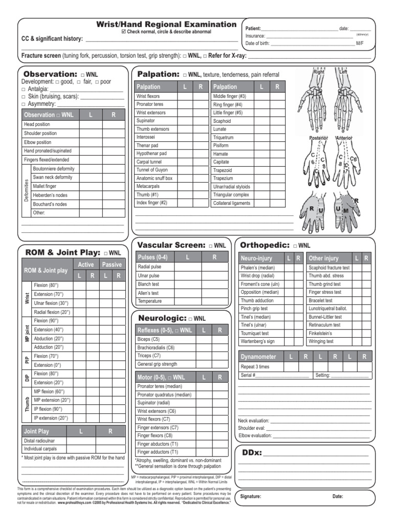 Comprehensive Wrist and Hand Exam Checklist | PDF | Anatomical Terms Of ...