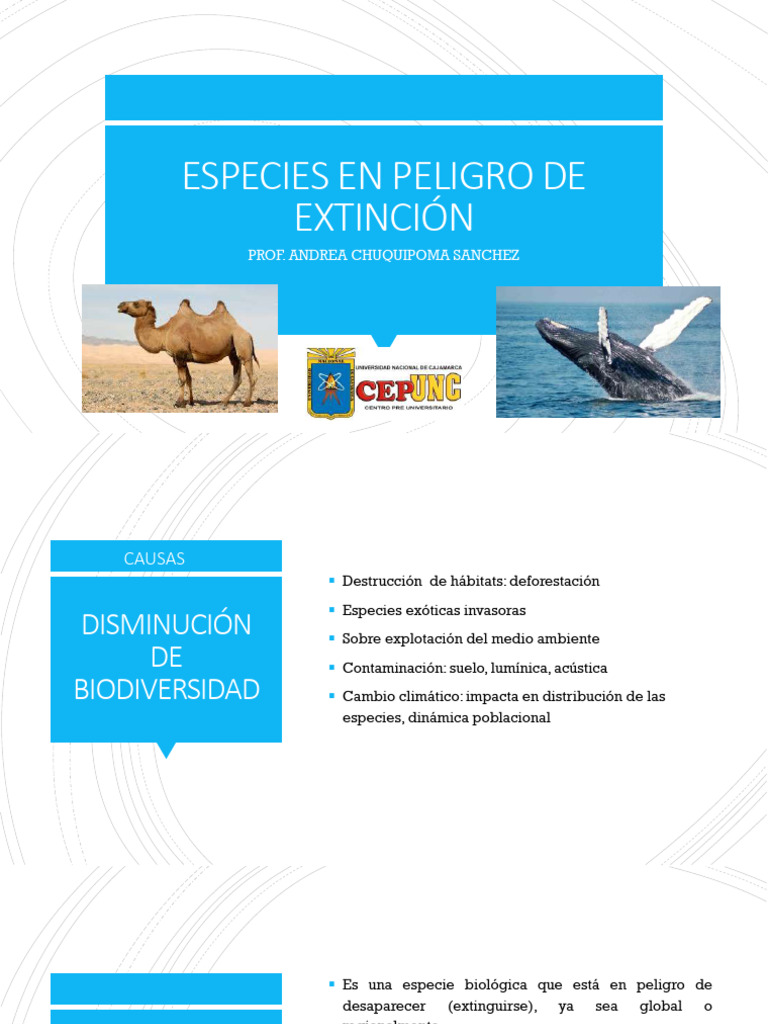 Especies en Peligro de Extinción | PDF | Especie en peligro | Extinción