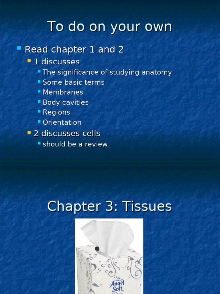 Chapter 3 | PDF | Connective Tissue | Epithelium