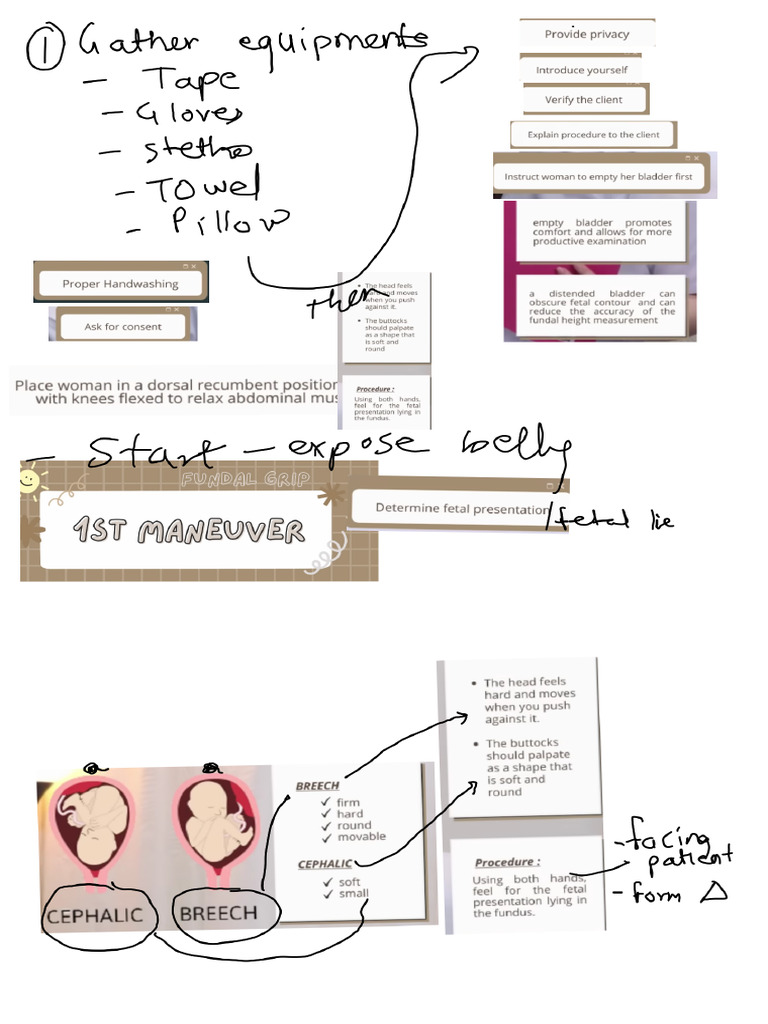 Leopold Maneuver Pdf