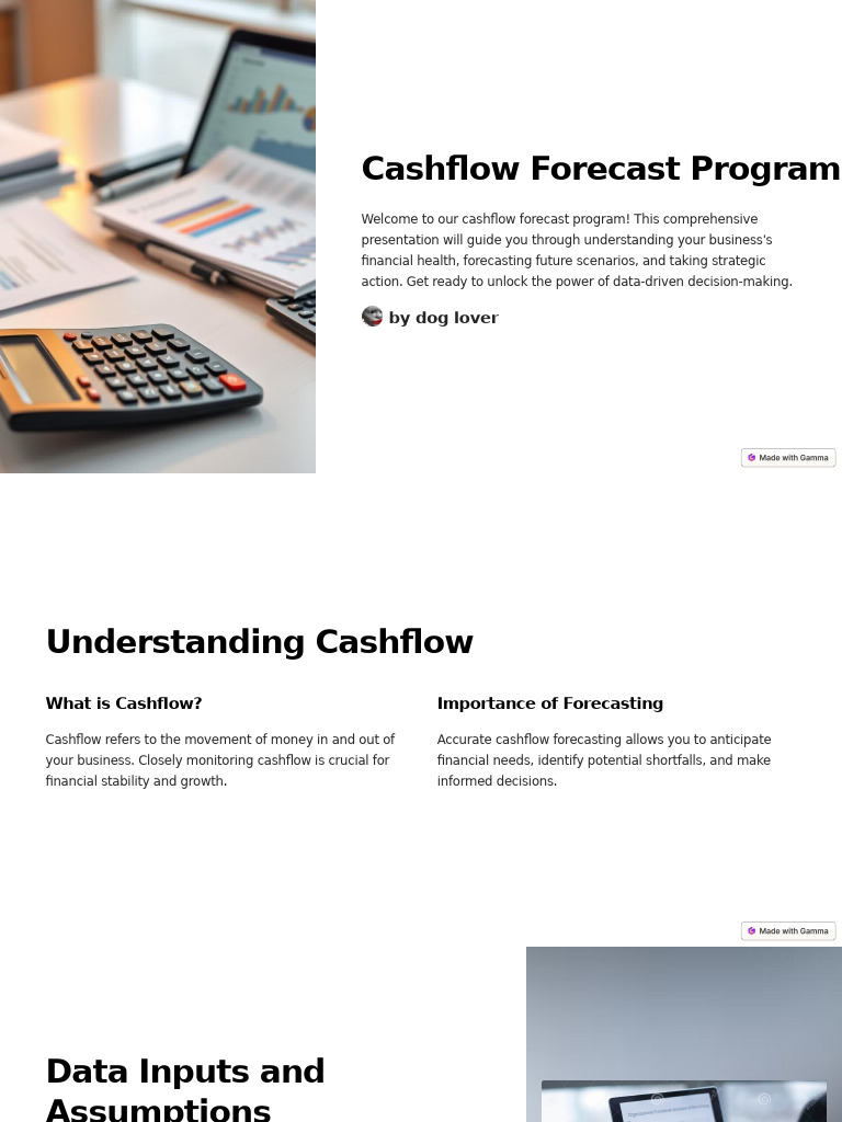 Cashflow Forecast Program | PDF | Forecasting | Risk