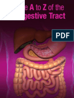 The A to Z Of The Digestive Tract