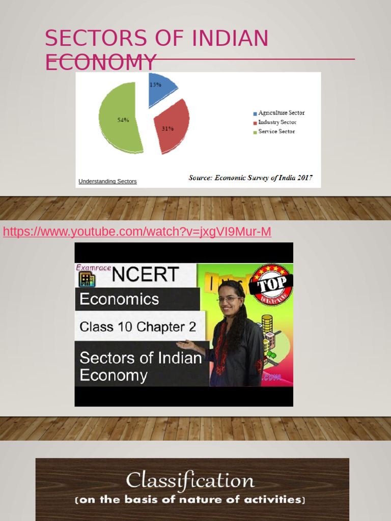Sectors of the Indian Economy Explained | PDF