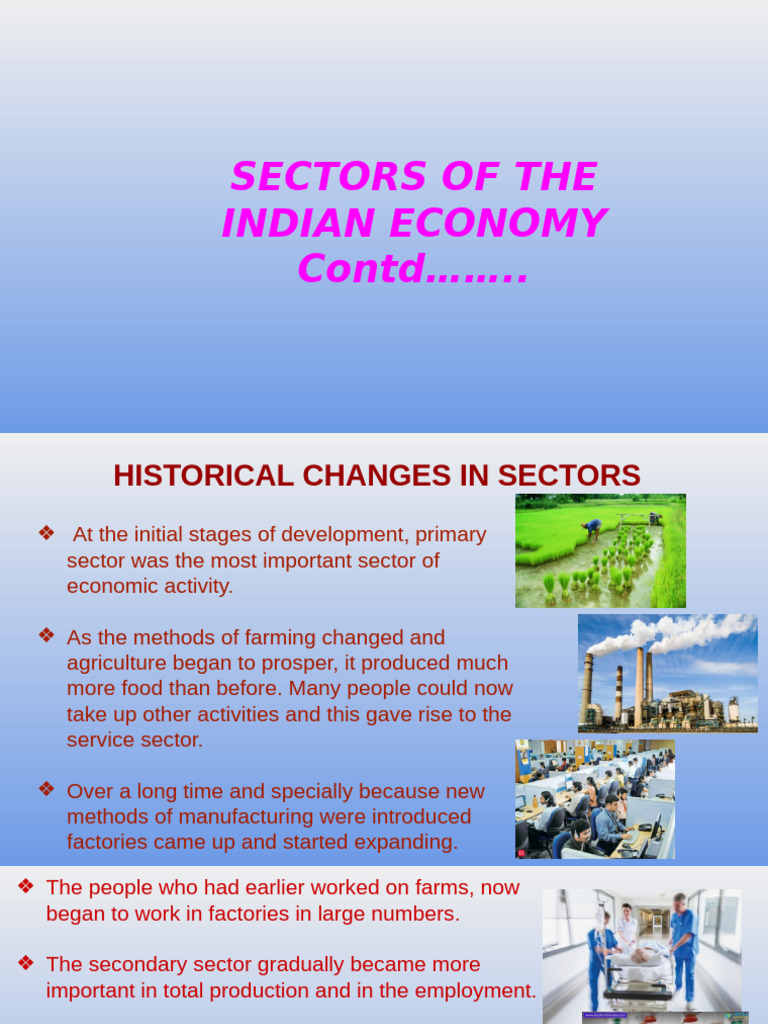 Sectors of the Indian Economy Explained | PDF | Employment | Labour ...