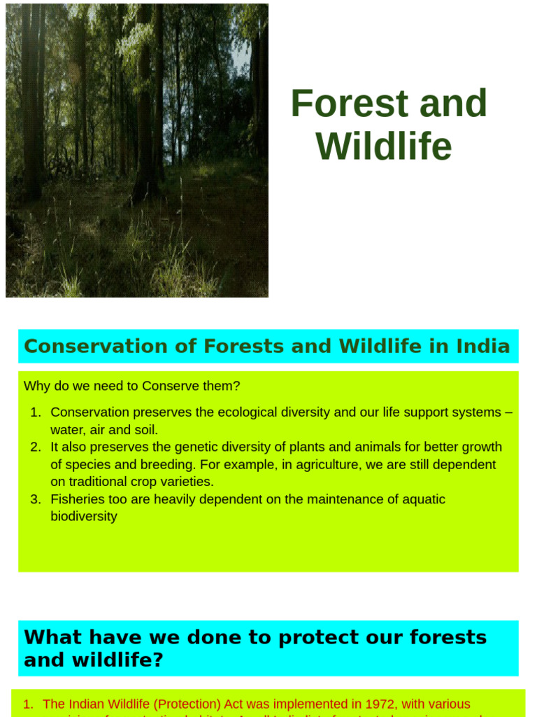 Conservation of Forests and Wildlife in India | PDF | Forests ...