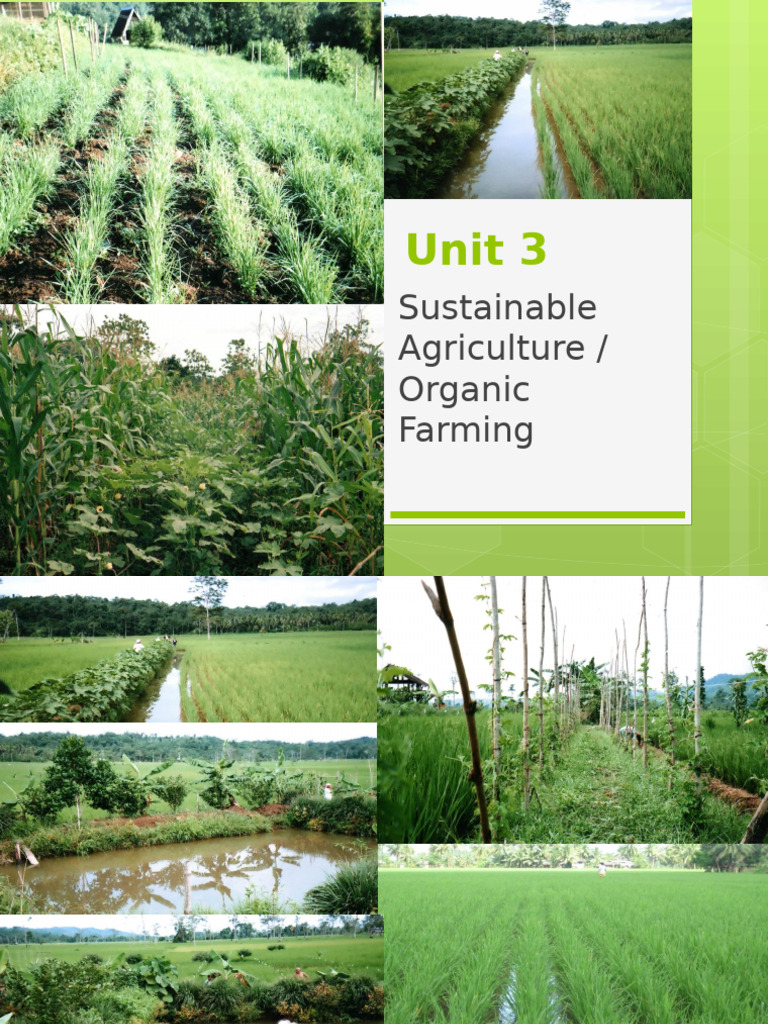 Organic Farming Pdf Organic Farming Agriculture