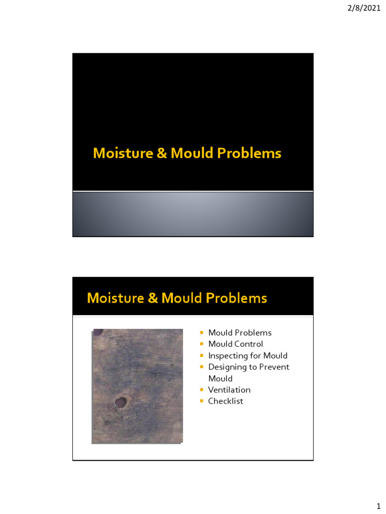3.2 - Mould & Moisture Problems | PDF | Mold | Duct (Flow)