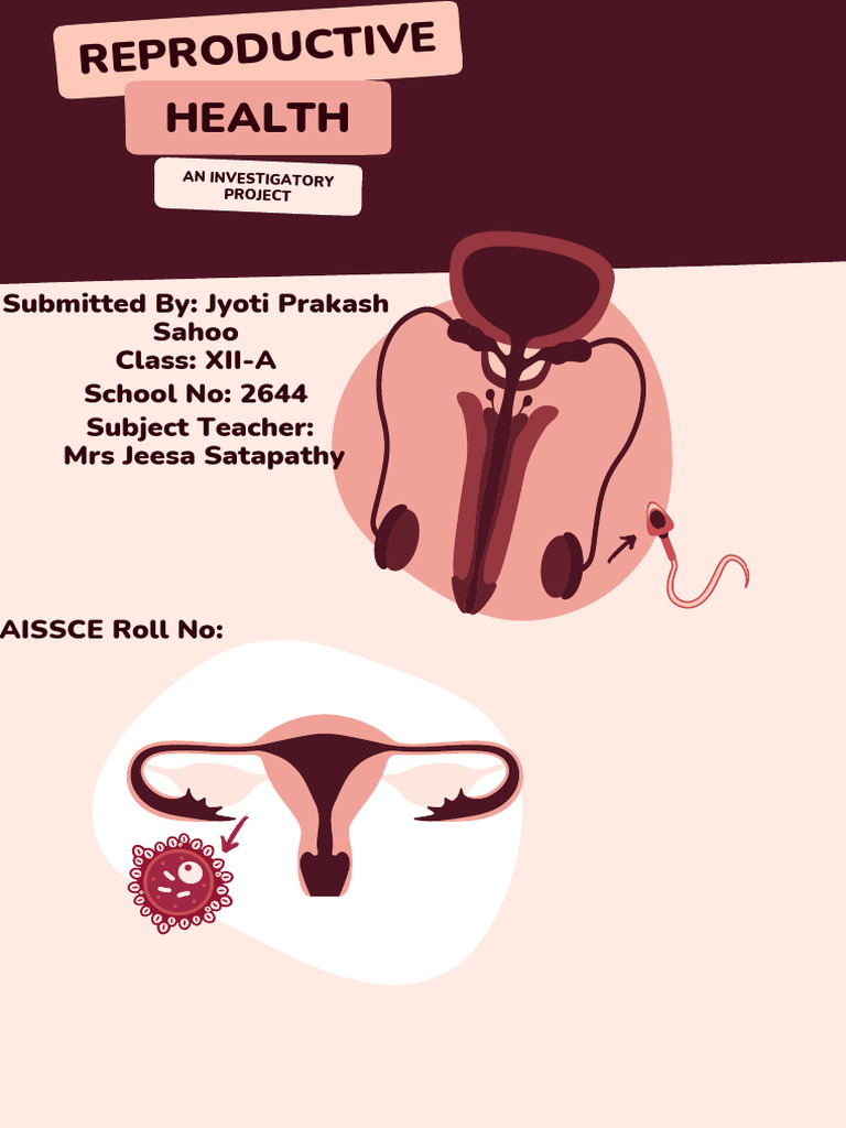 Reproductive Health Investigatory Project | PDF | Birth Control ...