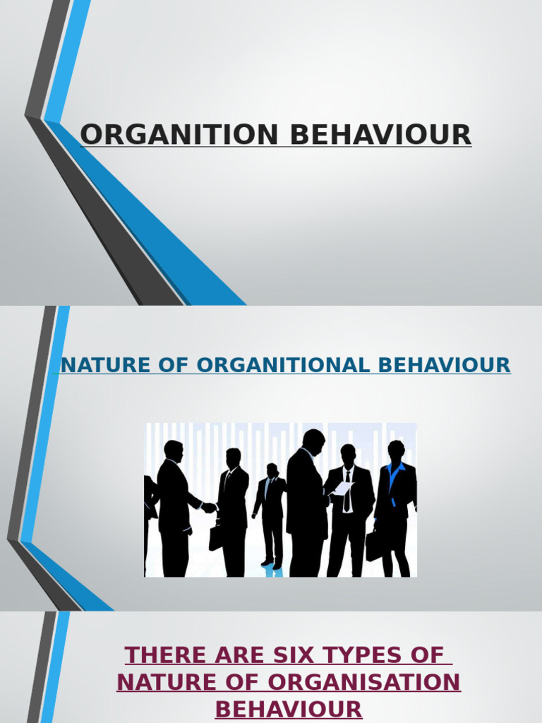 Understanding Organizational Behavior | PDF