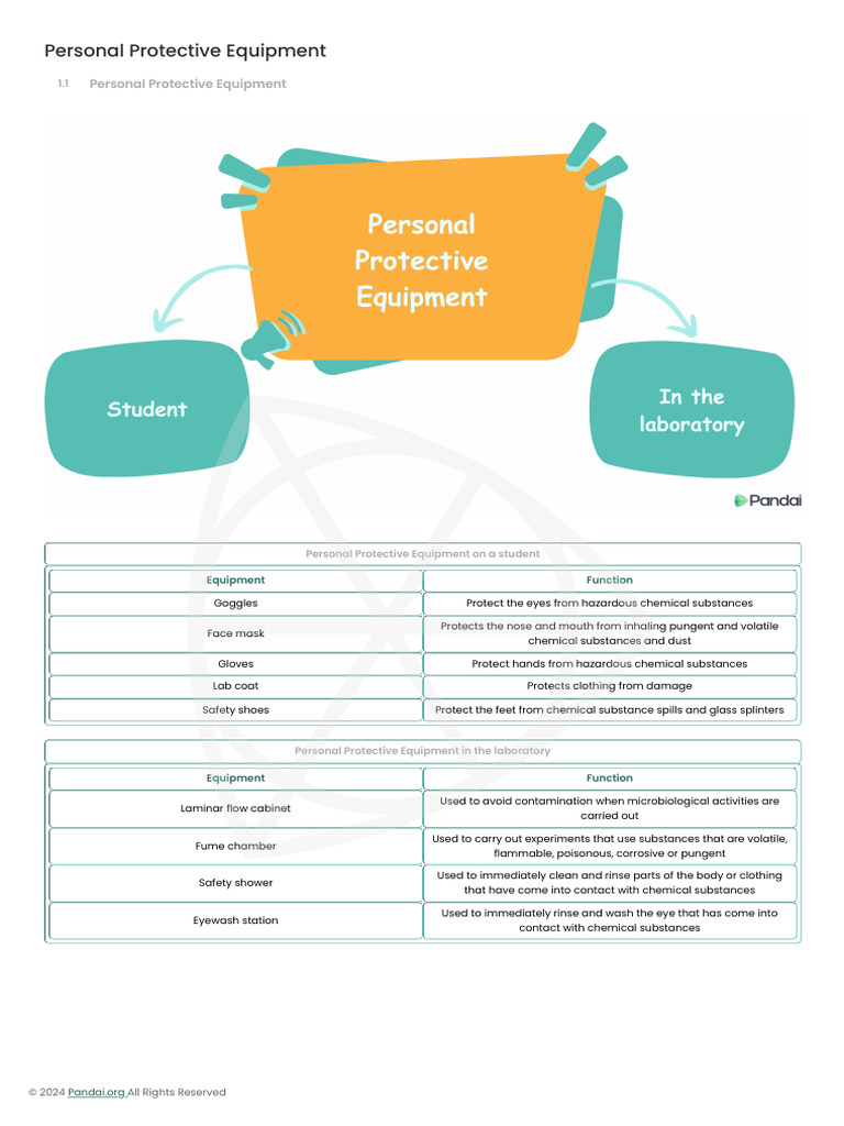 Self Protection Equipment | PDF | Personal Protective Equipment ...