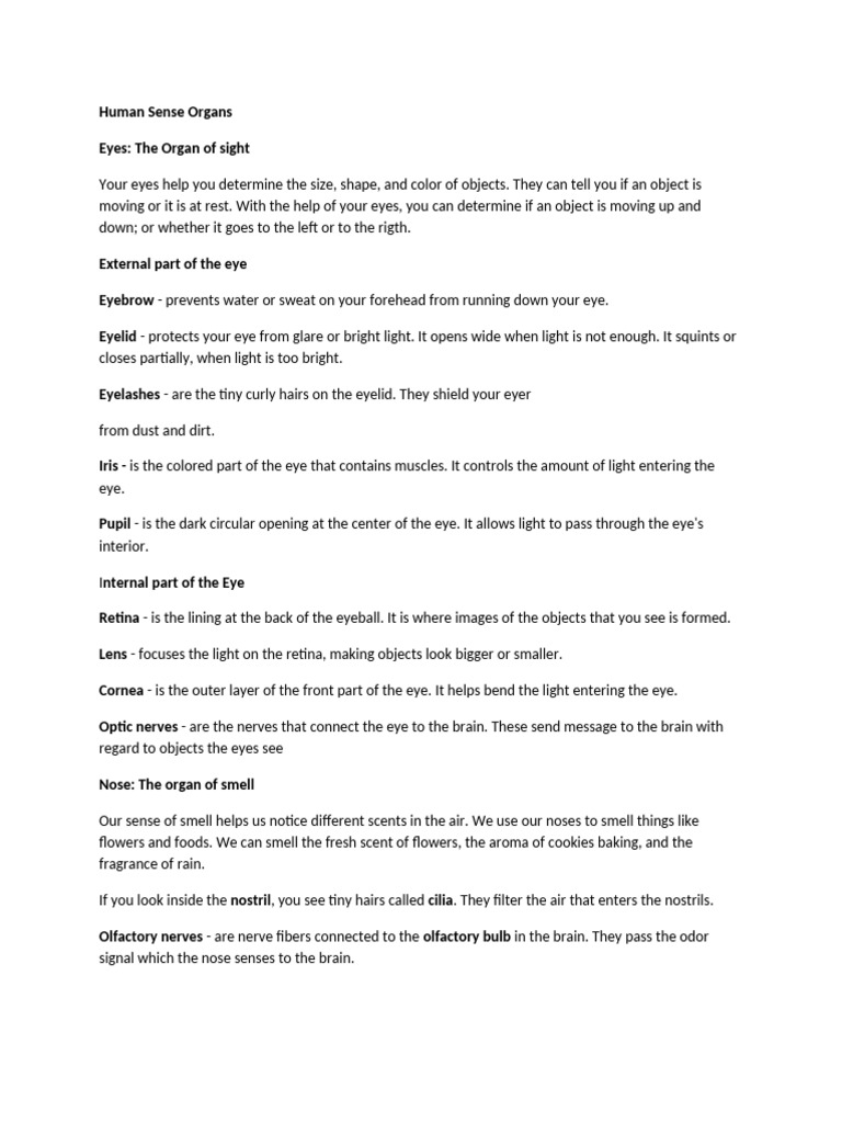Reviewer 5 Sense Organ Pdf Ear Taste