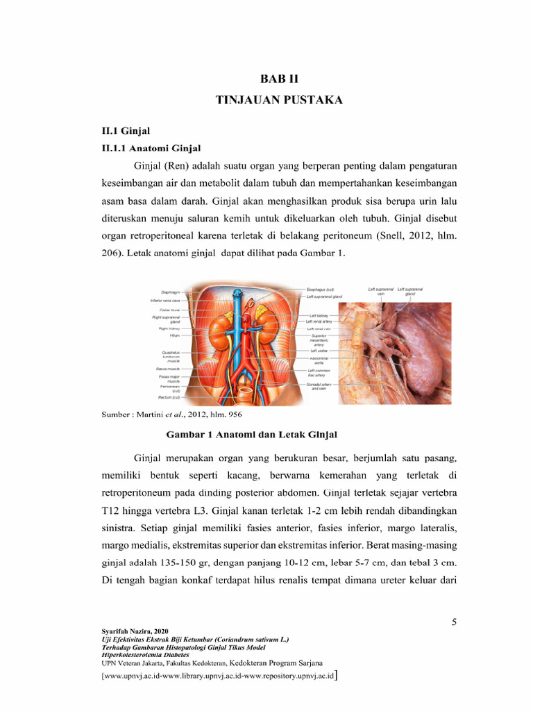 Bab Ii | PDF