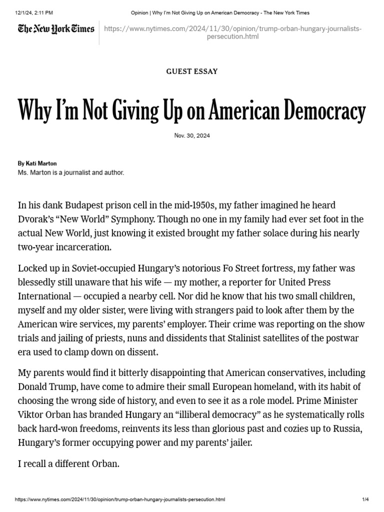Opinion - Why I'm Not Giving Up On American Democracy - The New York ...