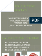 ExpoSicion Corte de Carne de Bovinos