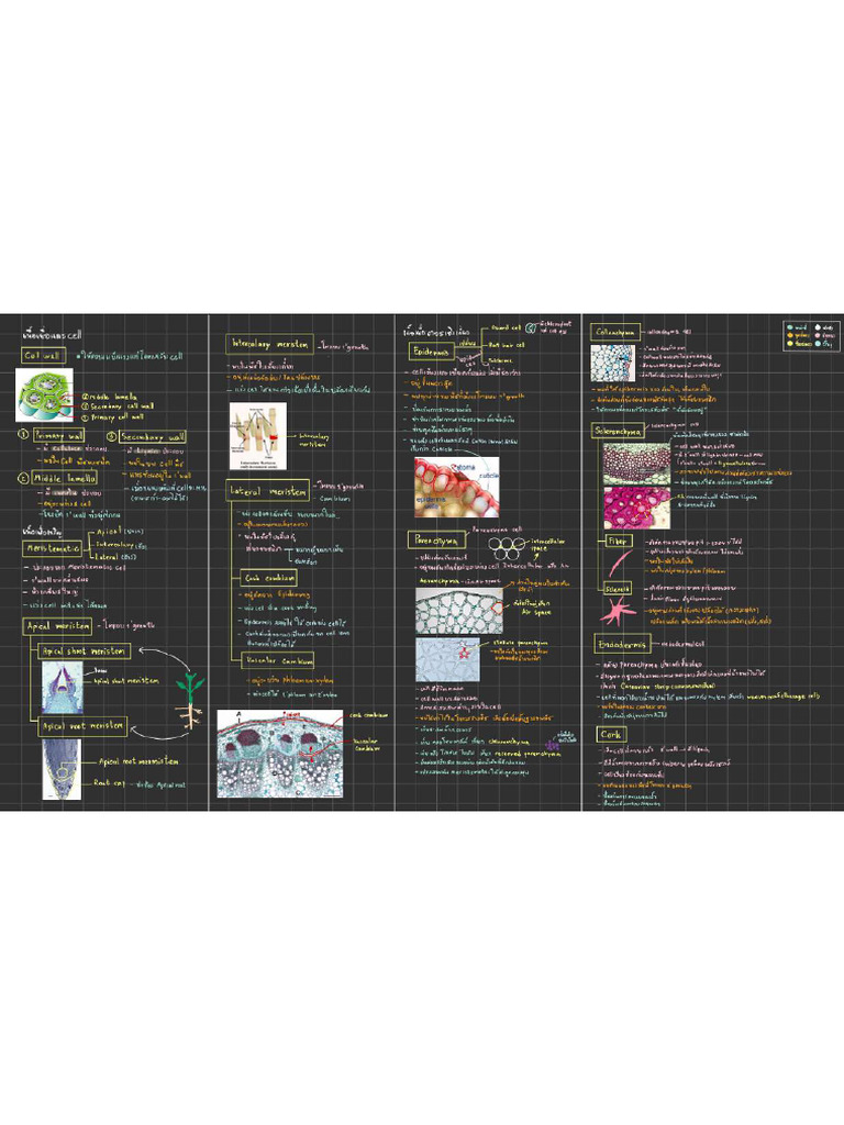 Bio Page-0001 | PDF