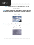 3rd Grade | Scientific Method Worksheet