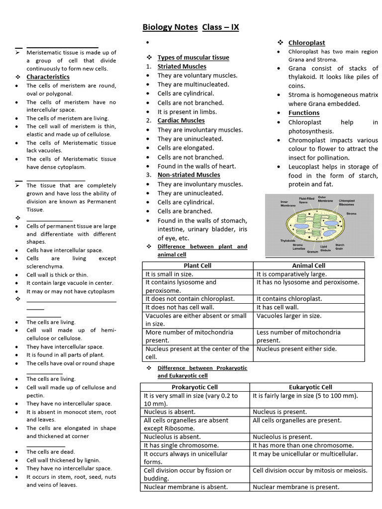Biology Notes | PDF | Cell (Biology) | Tissue (Biology)
