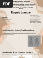 Anatomía de la Columna Sacra y Lumbar | PDF | La columna vertebral ...