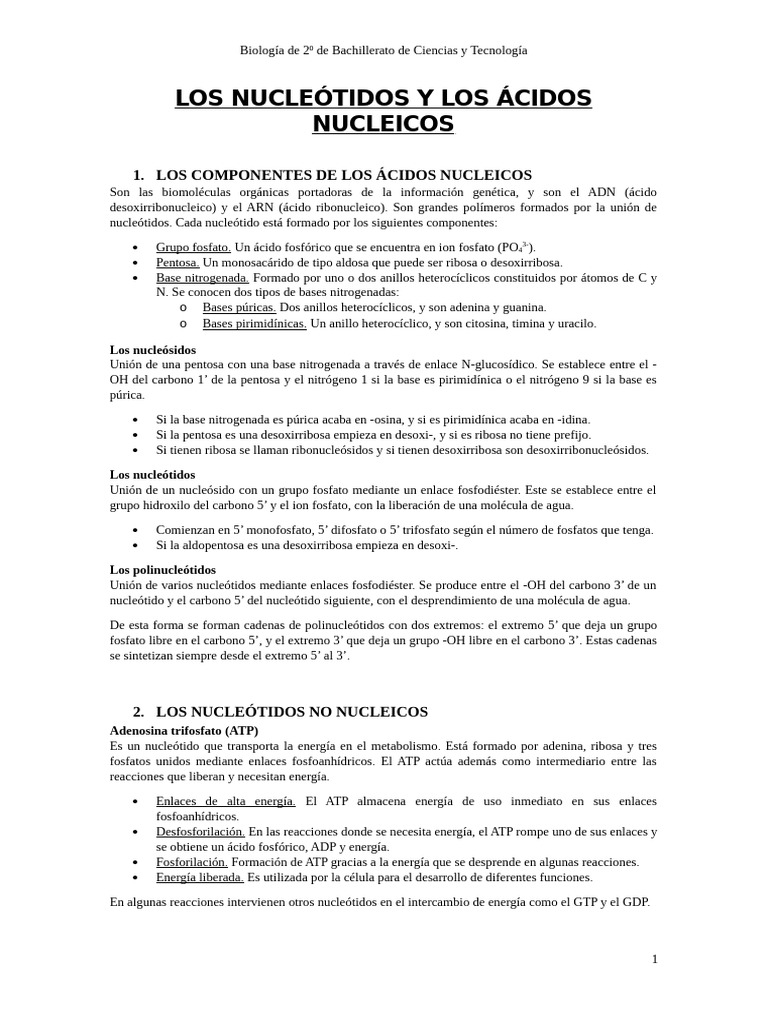 Los Nucleótidos y Los Ácidos Nucleicos | PDF | Rna | Adn