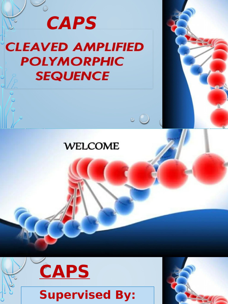 Understanding CAPS in Molecular Biology | PDF