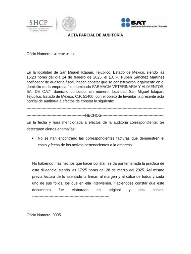 Acta Parcial de Auditoría Fiscal 2025 | PDF