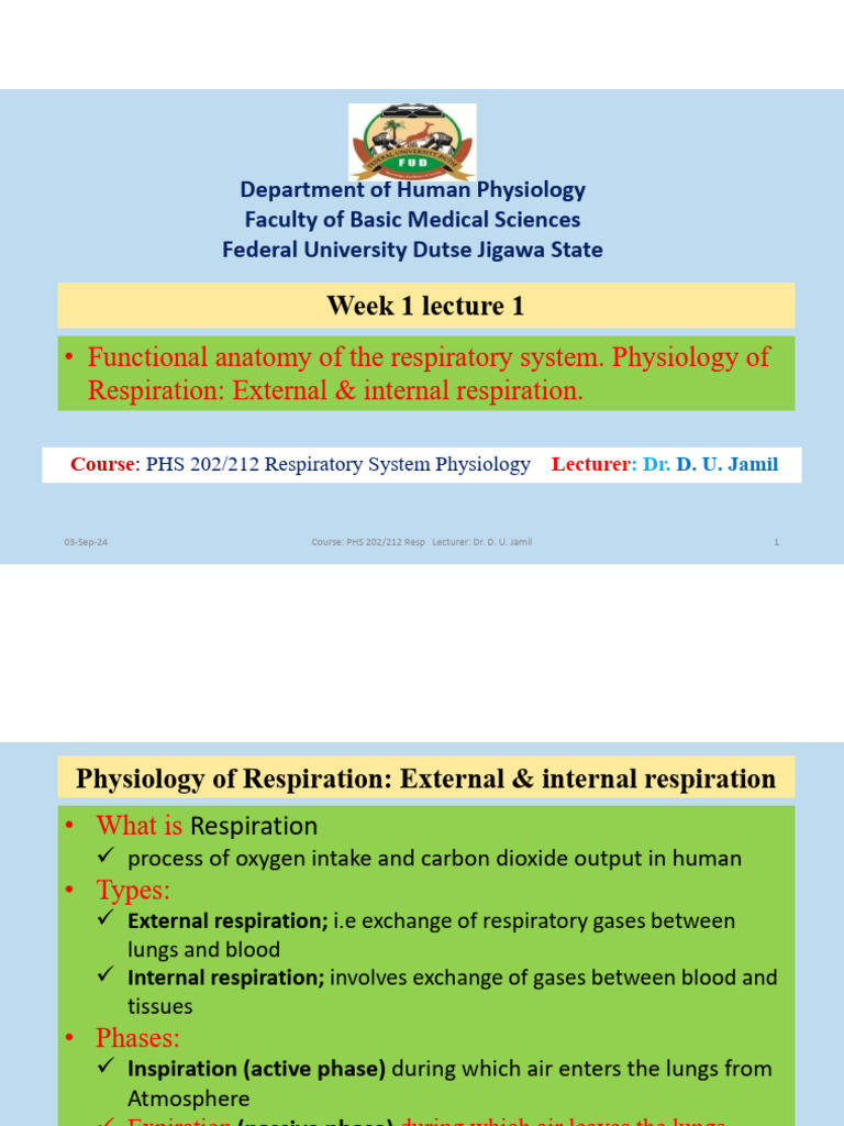 Respiratory System Physiology Overview | PDF | Respiratory System | Lung