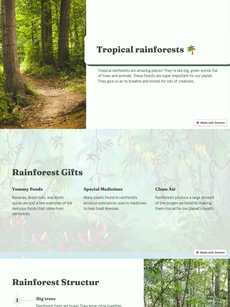 Tropical Rainforests | PDF