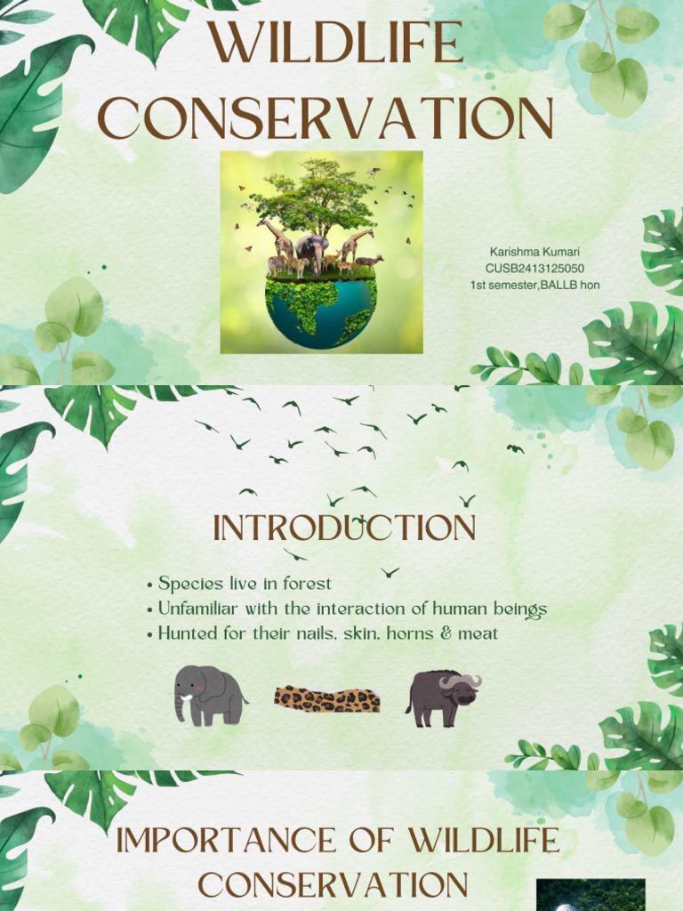 Wildlife Conservation - 20241124 - 230646 - 0000 | PDF