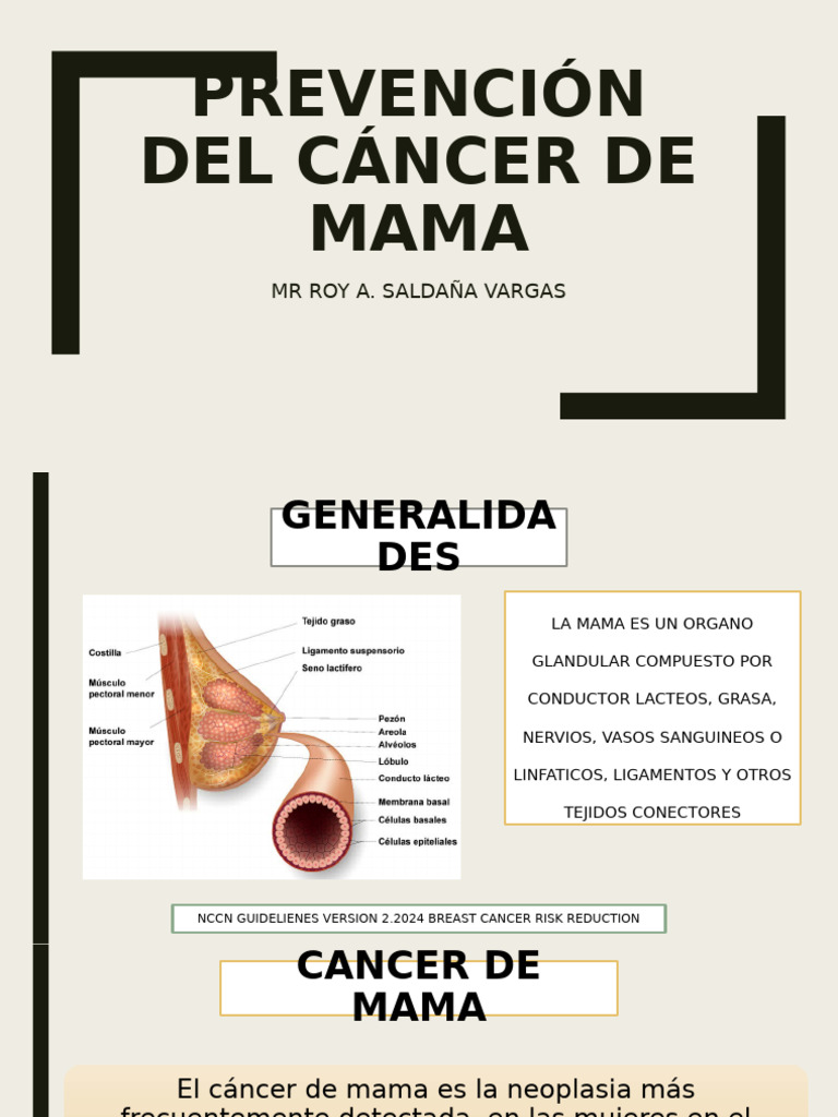 Prevencion de Cancer de Mama | PDF | Mamografía | Cáncer