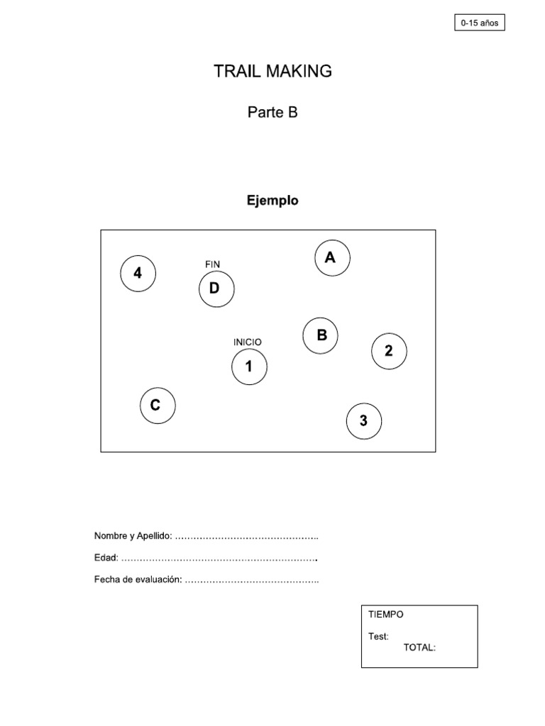Lamina TMT B | PDF