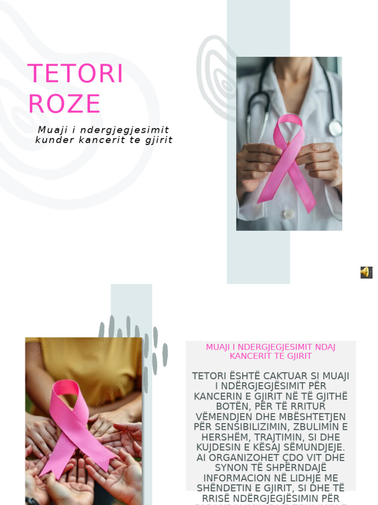 Tetori Roze | PDF